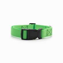 Load image into Gallery viewer, Bright Green Standard Collar