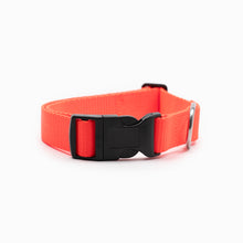 Load image into Gallery viewer, Bright Orange Standard Collar