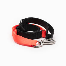 Load image into Gallery viewer, Bright Orange Kwik Belt & Leash System
