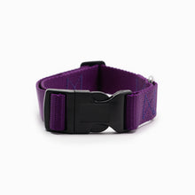 Load image into Gallery viewer, Dark Purple Standard Collar