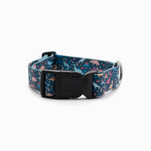Load image into Gallery viewer, Dinosaur Pattern Standard Collar