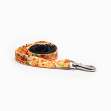 Load image into Gallery viewer, Fall Harvest Design K9 Kwik Belt & Leash System