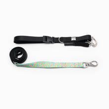 Load image into Gallery viewer, Flamingo Design Kwik Belt & Leash System