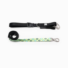 Load image into Gallery viewer, Margarita Argyle Kwik Belt & Leash System
