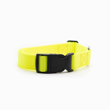 Load image into Gallery viewer, Neon Yellow Standard Collar