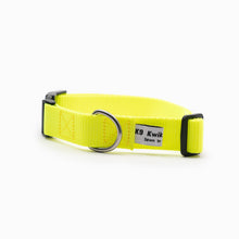 Load image into Gallery viewer, Neon Yellow Standard Collar