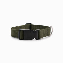 Load image into Gallery viewer, Olive Standard Collar