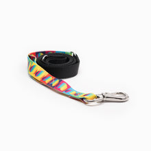 Load image into Gallery viewer, Rainbow Hearts Kwik Belt & Leash System