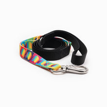 Load image into Gallery viewer, Rainbow Hearts Kwik Belt & Leash System
