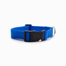 Load image into Gallery viewer, Royal Blue Standard Collar