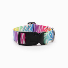 Load image into Gallery viewer, Zebra Bright Standard Collar