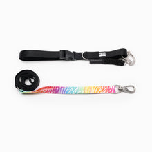 Load image into Gallery viewer, Zebra Bright Kwik Belt & Leash System