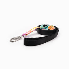 Load image into Gallery viewer, Zebra Bright Kwik Belt & Leash System