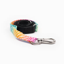 Load image into Gallery viewer, Zebra Bright Kwik Belt & Leash System