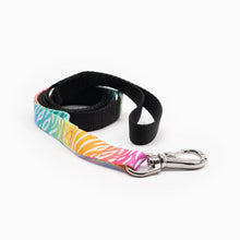 Load image into Gallery viewer, Zebra Bright Kwik Belt & Leash System