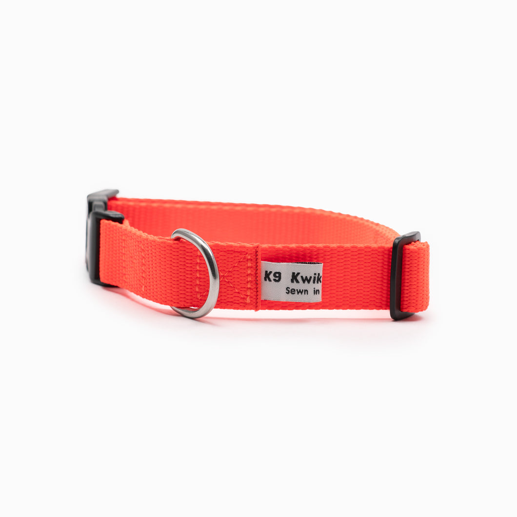 Bright Orange Standard Collar