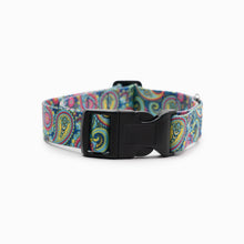 Load image into Gallery viewer, Bright Paisley Standard Collar
