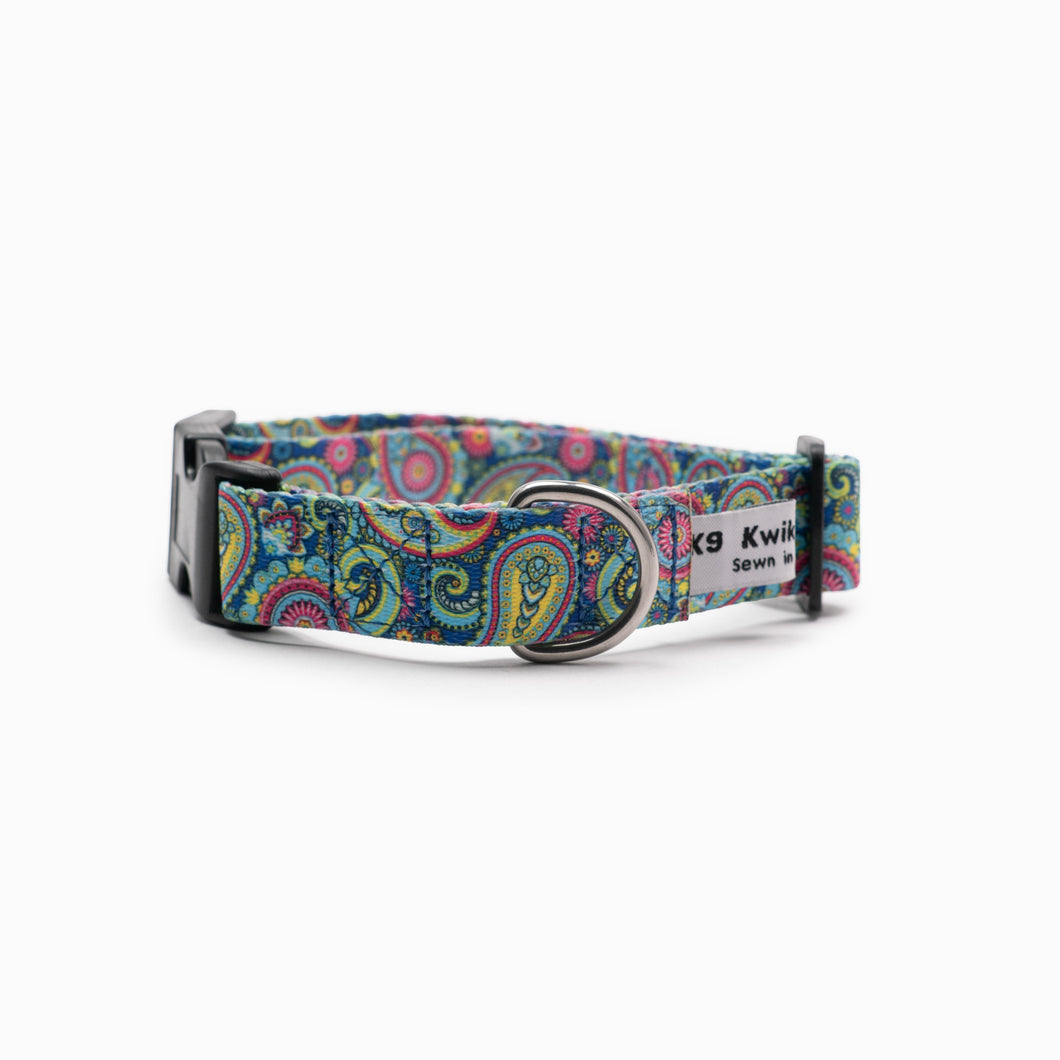 Bright Paisley Standard Collar