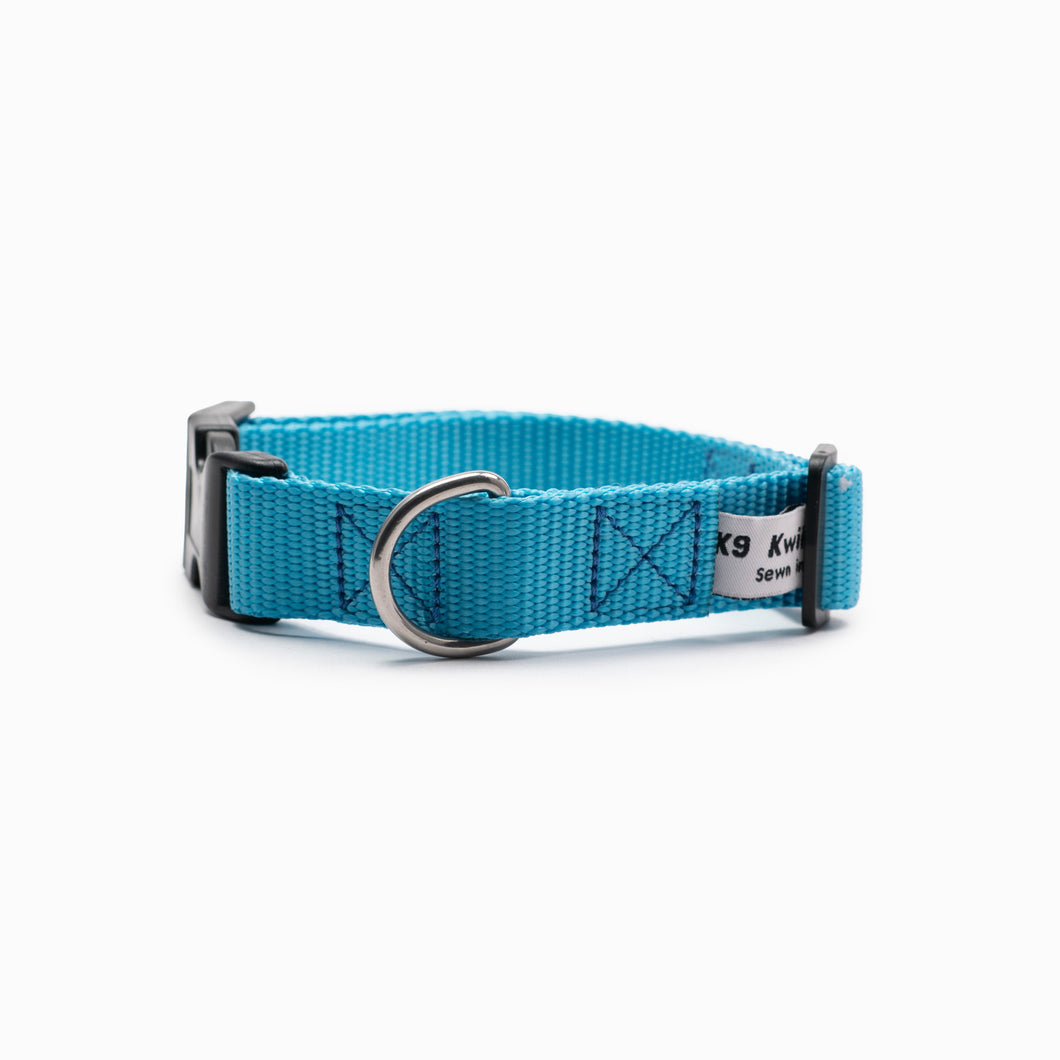 Ice Blue Standard Collar