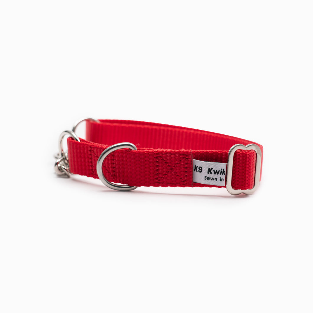 Martingale Collars